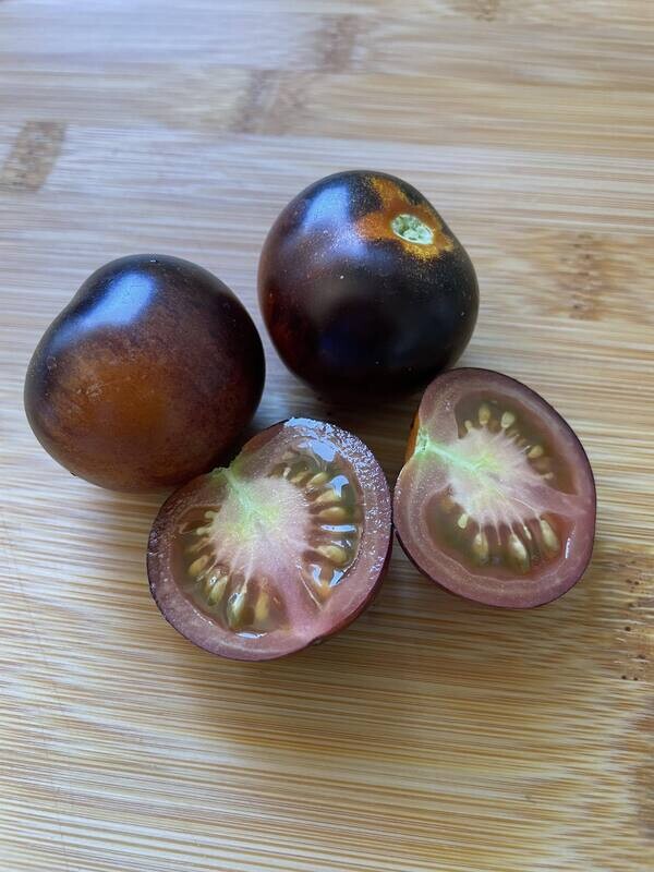 Tomato - Indigo rose Seed.
