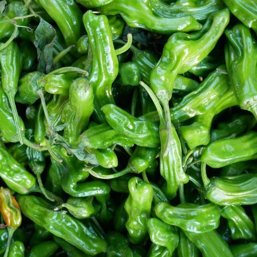 Chilli 'Shishito' Seeds Chilli 'Shishito' Seeds