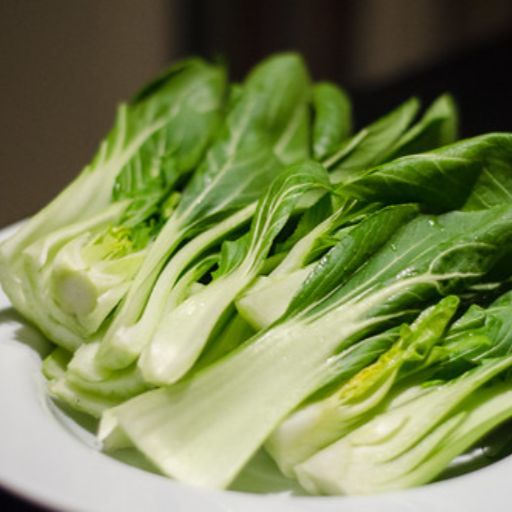 Pak choi - Kwang moon white Pak choi - Kwang moon white