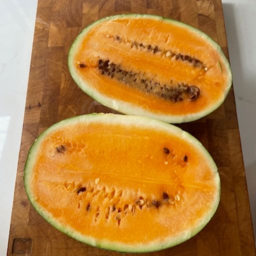 Watermelon - Sweet Siberian Watermelon - Sweet Siberian