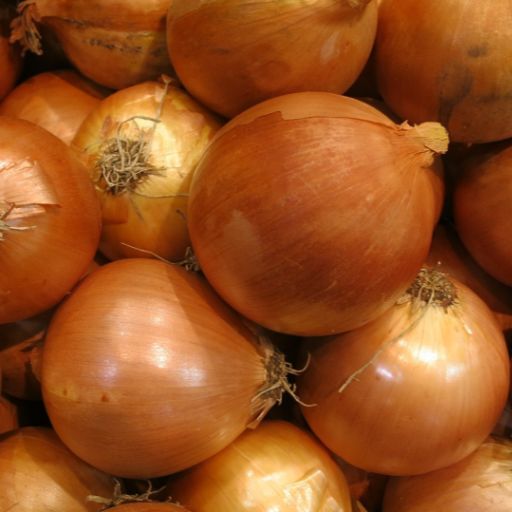 ​Onion ‘Pukekohe Long Keeper’
