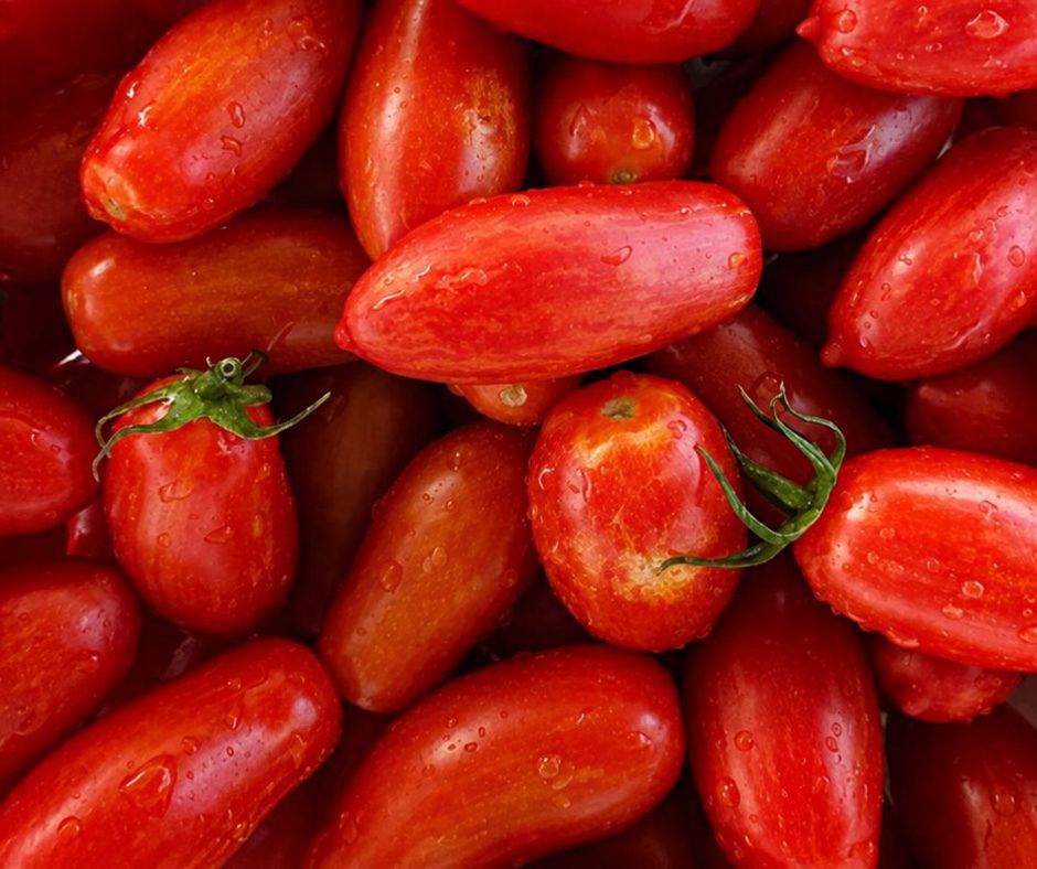 Tomato - Sweet Casady Tomato - Sweet Casady
