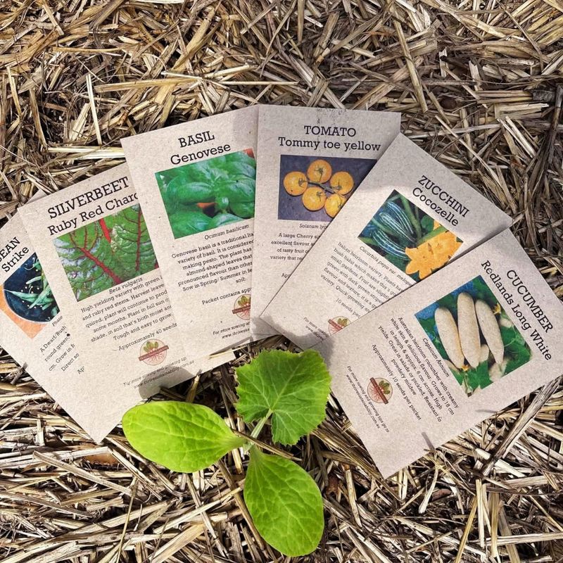 Summer Abundance Bundle
