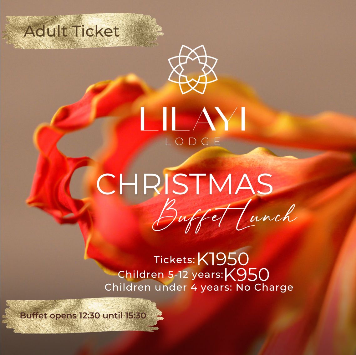 Christmas Lunch Buffet (Adult Ticket)