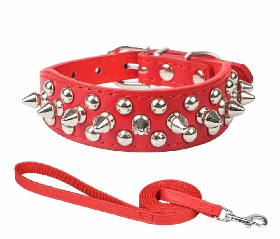 Dog  Spike  Red Collar  Small