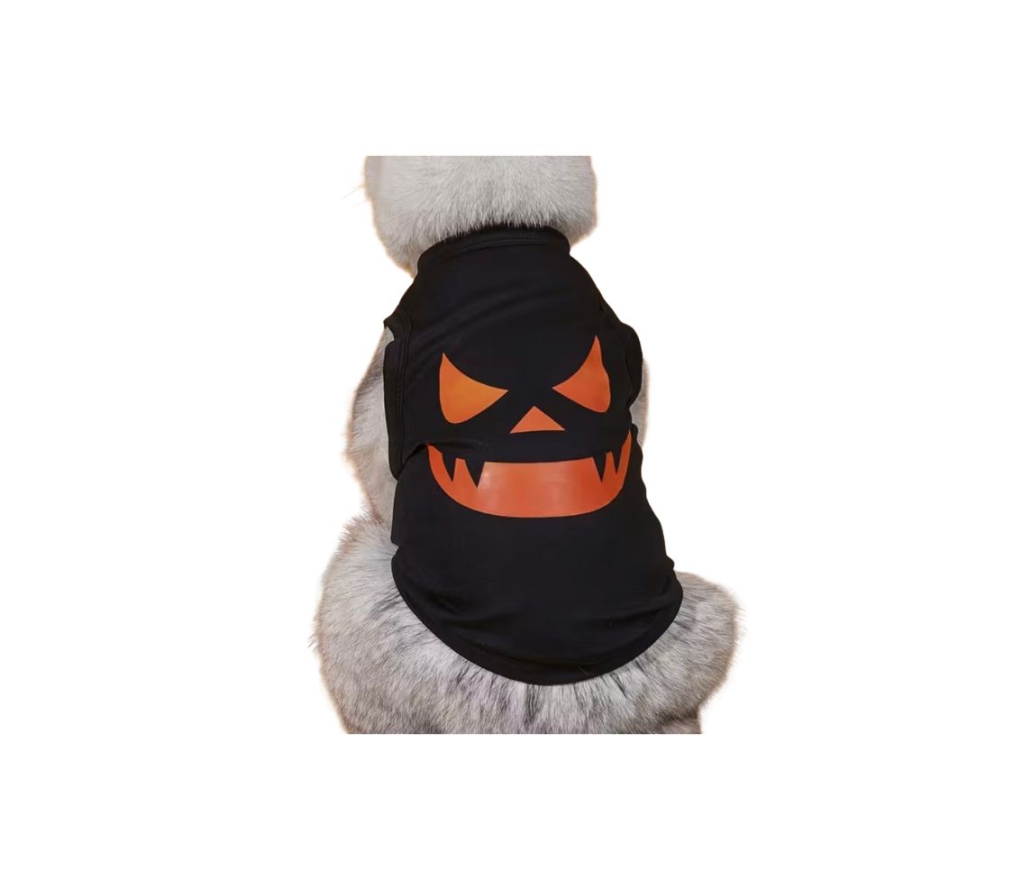 Hello Pumpkin Doggie Tee Large Blk