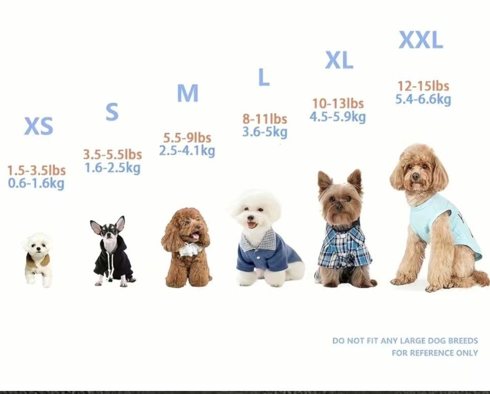 Hello Pumpkin Doggie Tee Orange Medium