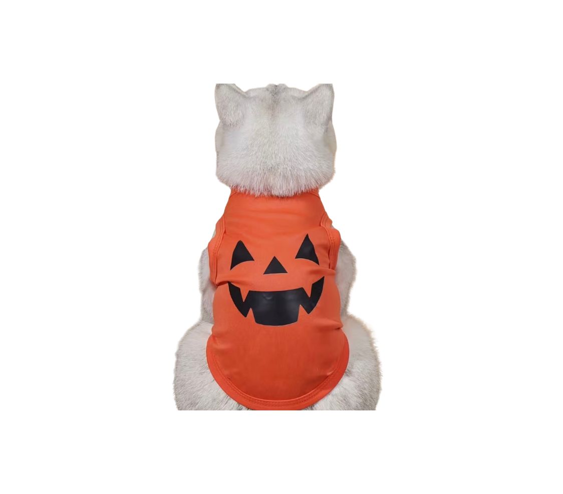 Hello Pumpkin Doggie Tee Orange Large