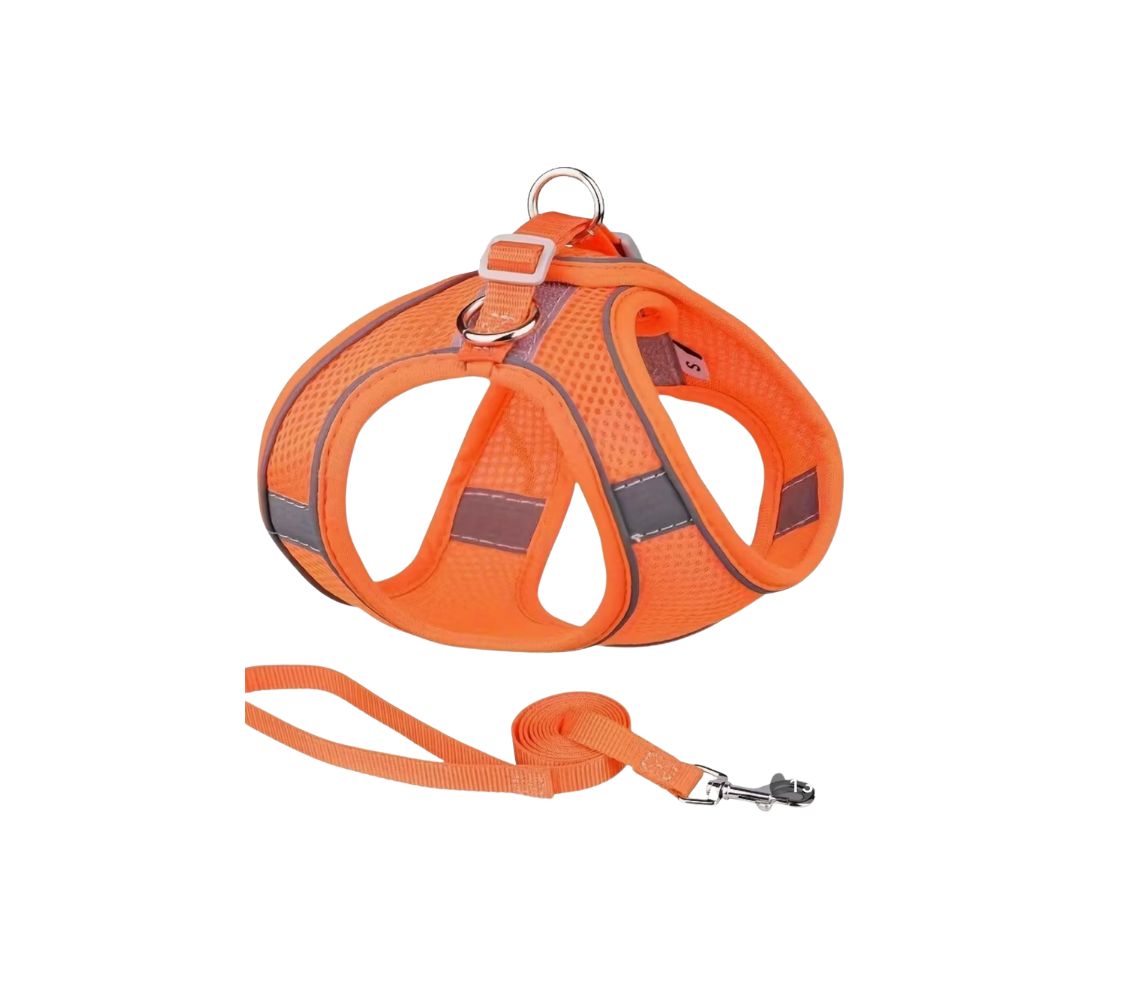 No Fuss Harness