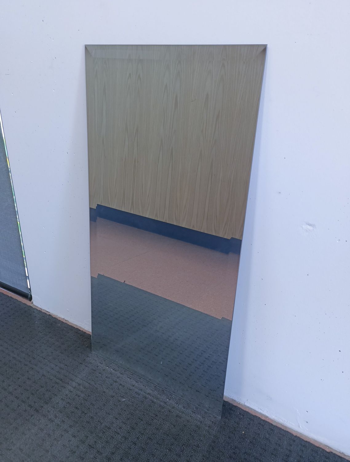 Frameless Mirror 449mm x 879mm