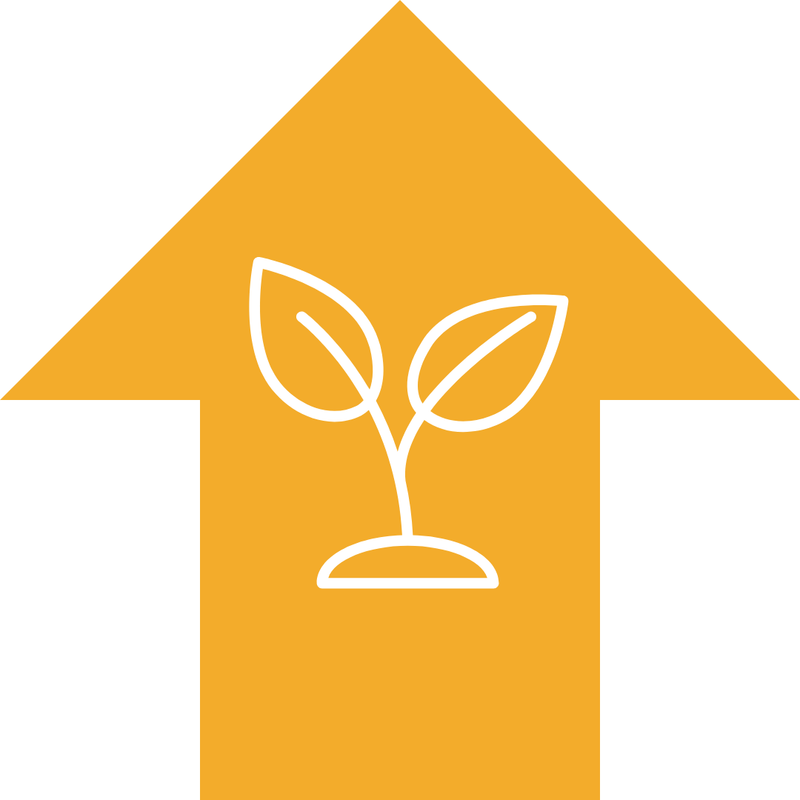 Choice Giving Sponsor -Business