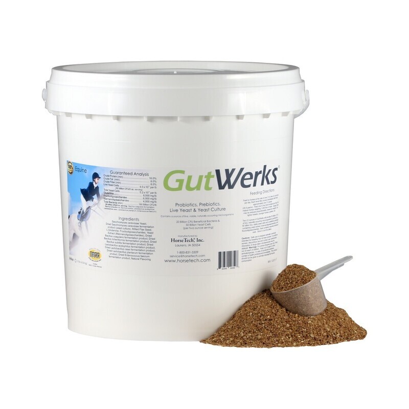 GutWerkz