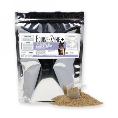 Equine-Zyme Plus with Colostrum