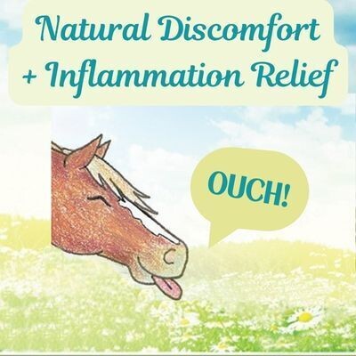 Natural Discomfort &amp; Inflammation Relief