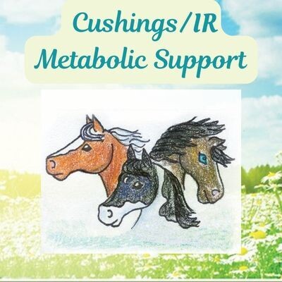 Cushings, IR, Metabolic Horse Support