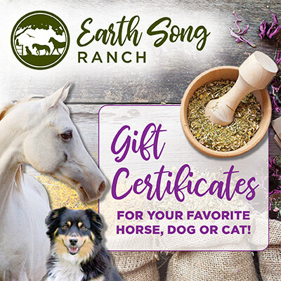 Gift Certificates
