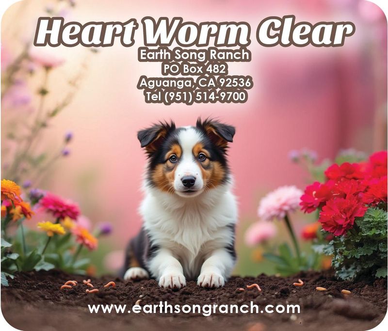 Heart Worm Clear