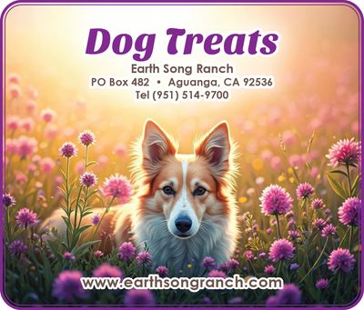 Natural and Organic Dog Treats