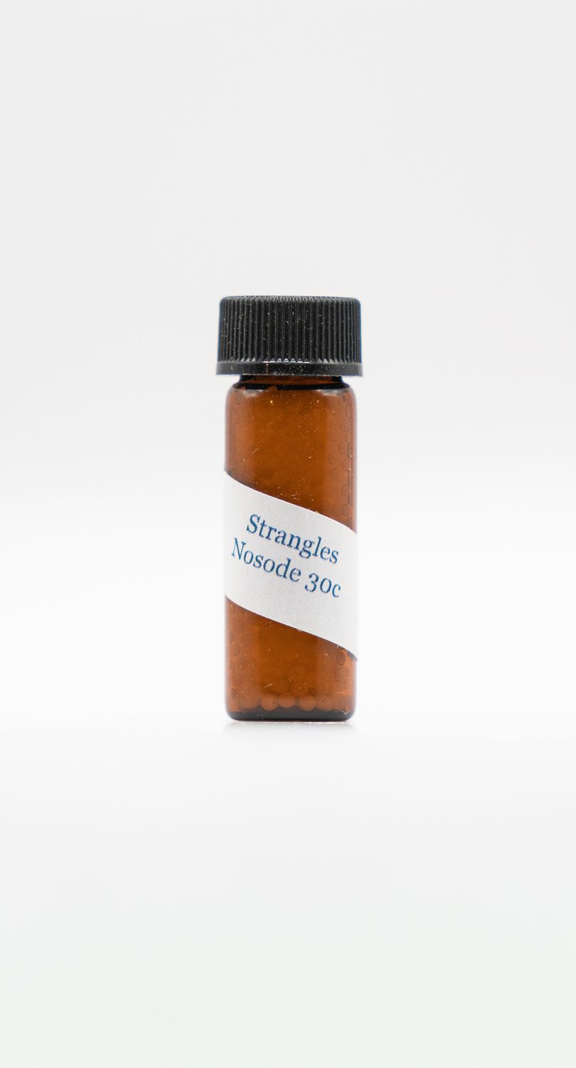 Equine Strangles Nosode Equine Strangles Nosode