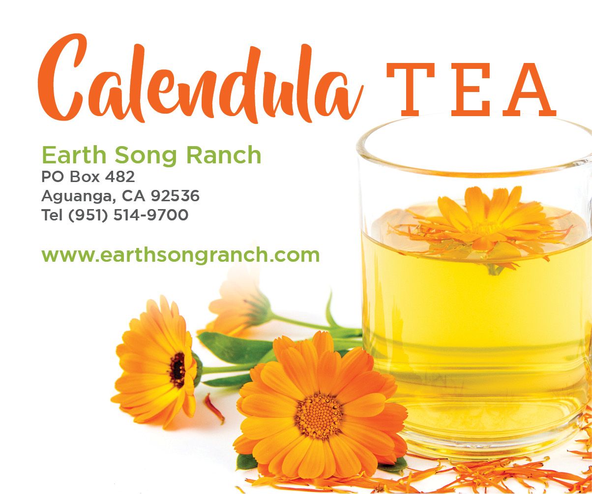 Calendula_Tea