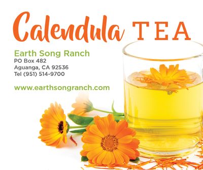 Calendula_Tea Calendula_Tea