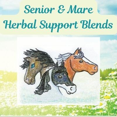 Special Blends For Mares & Seniors