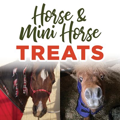 Natural & Organic Treats for Horses & Mini's