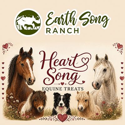 Natural & Organic Treats for Horses & Mini's