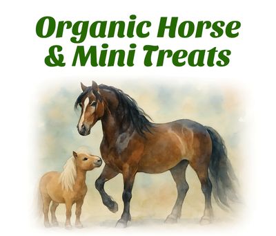 Natural &amp; Organic Treats for Horses &amp; Mini's