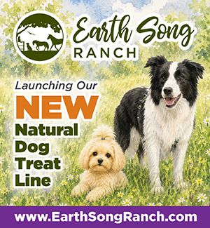 Natural and Organic Dog Treats