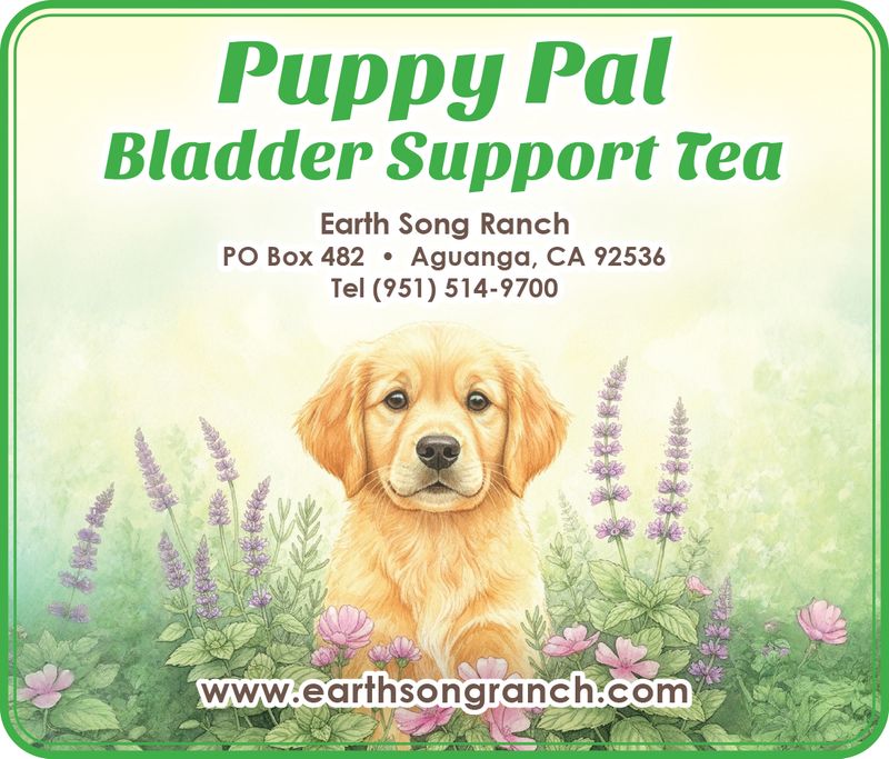 Canine UT Bladder Tea
