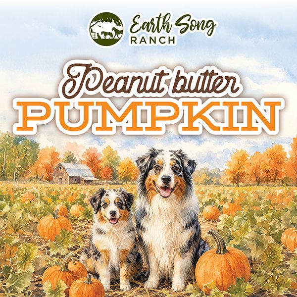 Organic_Peanut_Butter_Pumpkin_Treats Organic_Peanut_Butter_Pumpkin_Treats