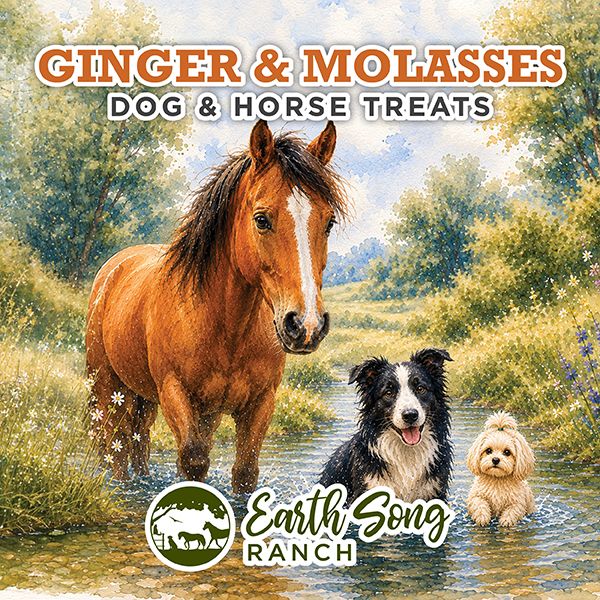 Ginger &amp; Molasses Bones - Immune Support Treat