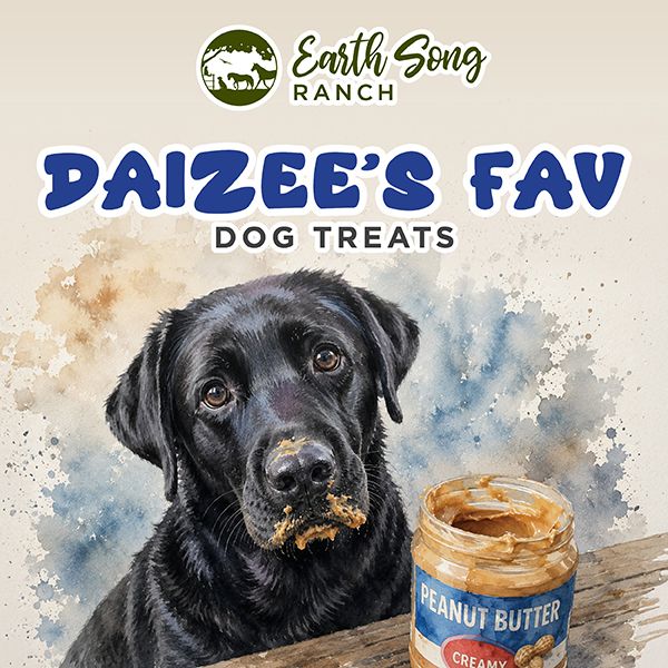 Daizee's 2x Peanut Butter Fav Daizee's 2x Peanut Butter Fav