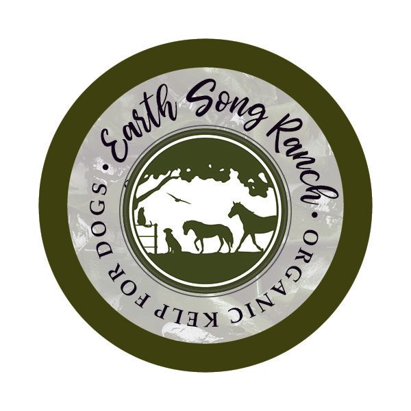 Organic Kelp for Dogs Organic Kelp for Dogs