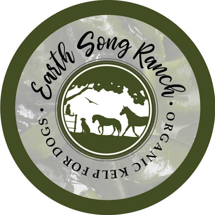 Organic Kelp for Dogs for Skin, Coat &amp; Metabolic Support