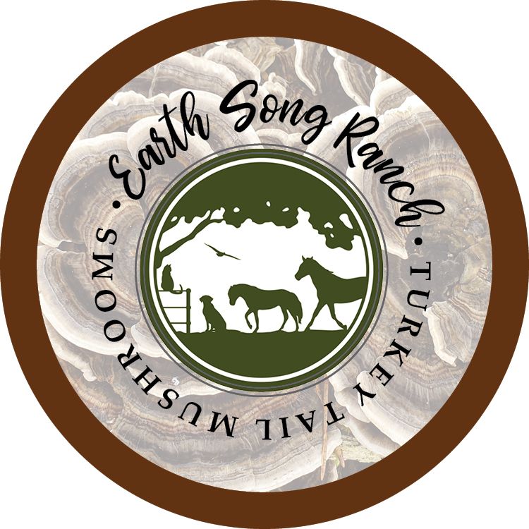 Organic_Turkey_Tail_Mushroom_For_Horses