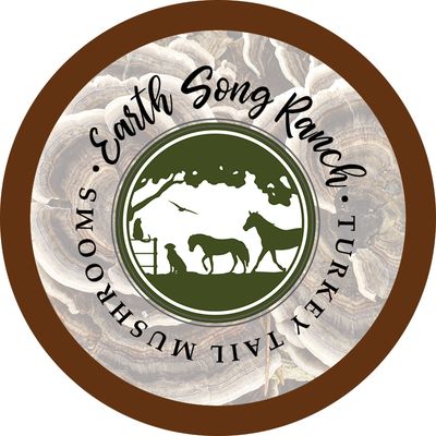 Organic_Turkey_Tail_Mushroom_For_Horses