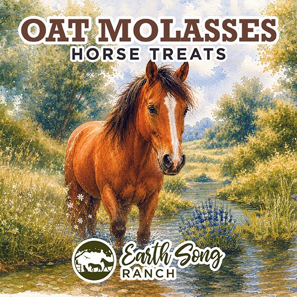 Oat Molasses Horse Treats