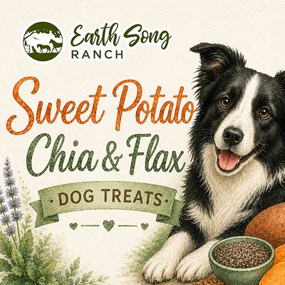 Sweet Potato Chia & Flax Biscuits Sweet Potato Chia & Flax Biscuits