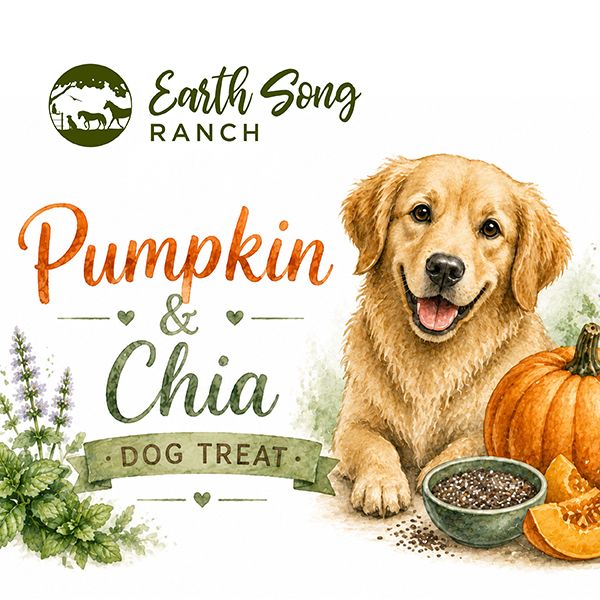 Pumpkin Chia Biscuits