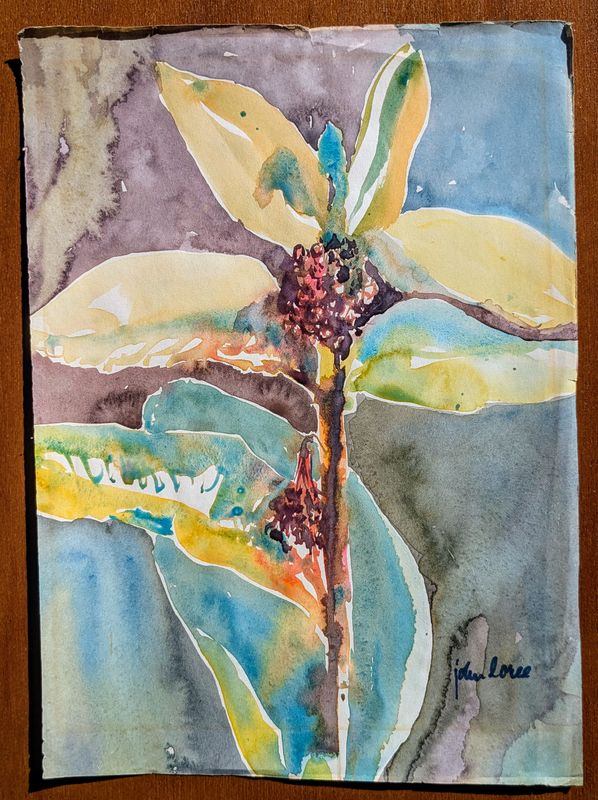 John Loree Hawaii Sketch Book