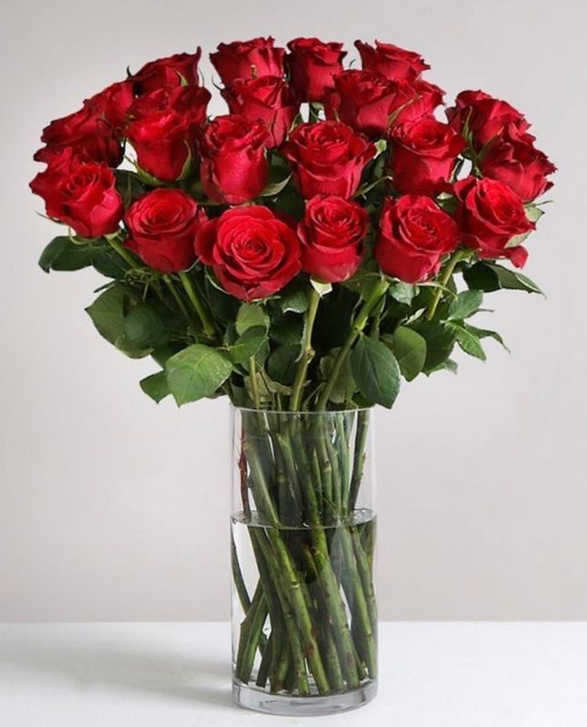 2 Dozen Red Roses