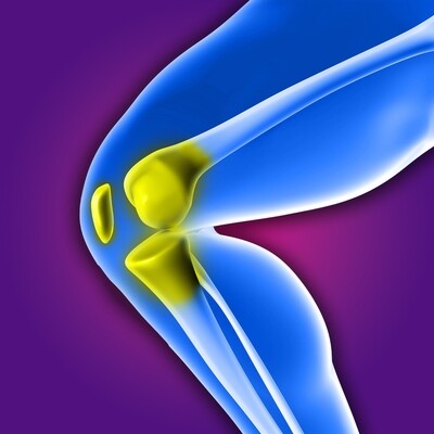 KNEE