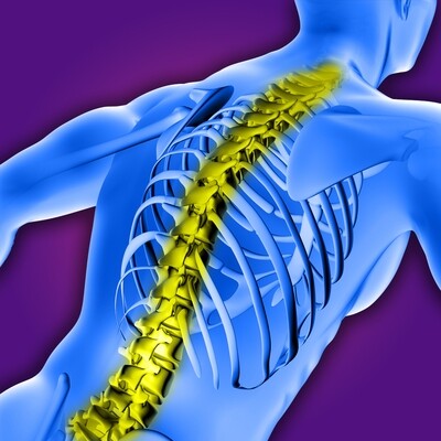 BACK SUPPORT
