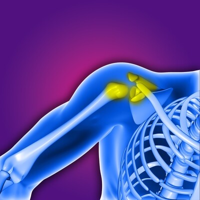 SHOULDER