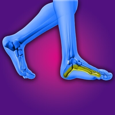 INSOLE &amp; FOOTCARE