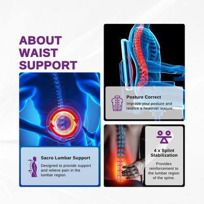LPM SACRO LUMBAR SUPPORT