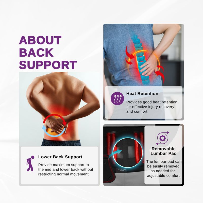LPM BACK SUPPORT WITH STAY