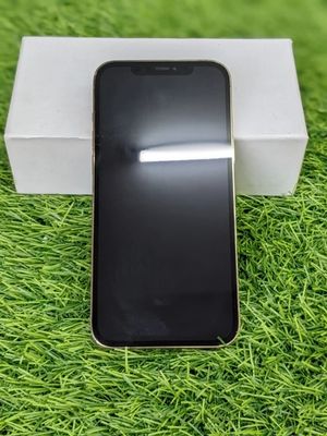 iPhone 12 Pro Max GOLD